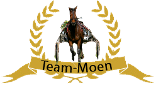 Team Moen Logo
